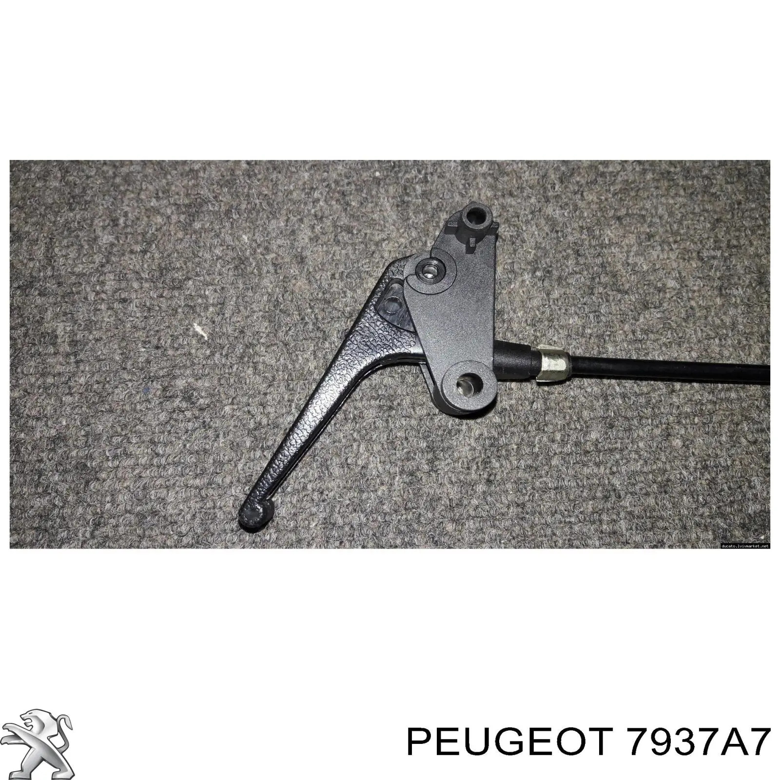 7937A7 Peugeot/Citroen cable de capó del motor