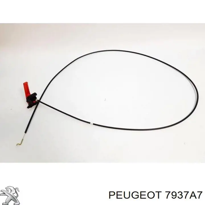 Cable de capó Citroen Jumpy I