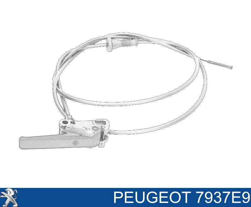 Cable de apertura de capó del motor Peugeot/Citroen 7937E9 precio, desde 14,09 EUR