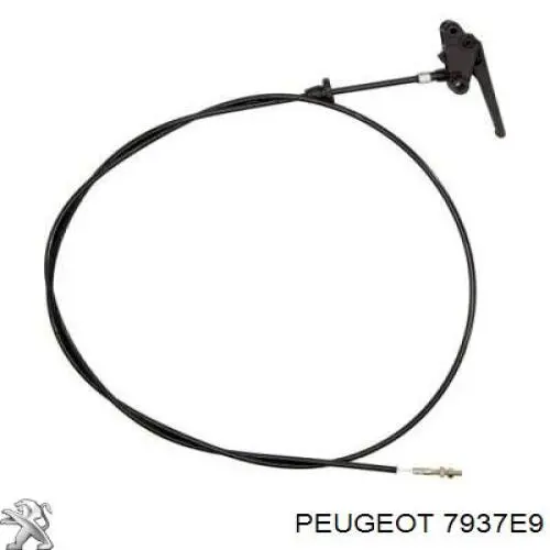 7937 E9 Peugeot/Citroen cable de capó del motor