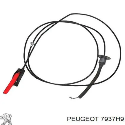 Comprar 7937H9 Peugeot/Citroen Cable de capó del motor
