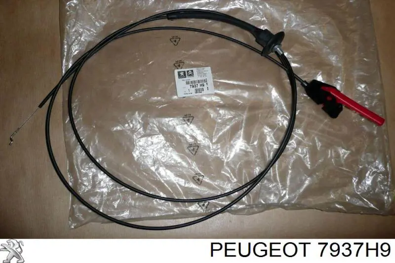 Cable de apertura de capó del motor Peugeot/Citroen 7937H9 precio, desde 79,78 EUR