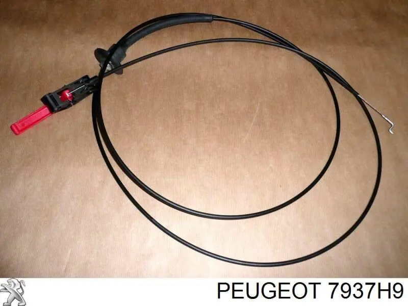 Cable de apertura de capó del motor para Peugeot Expert (VF3V)