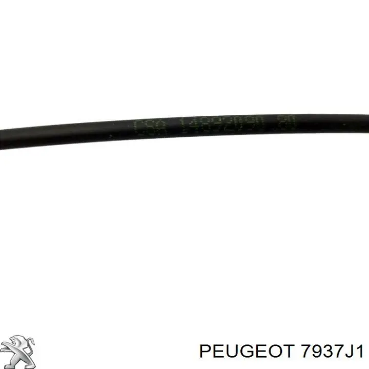 Cable de apertura del capó delantero Febest 25101X7F