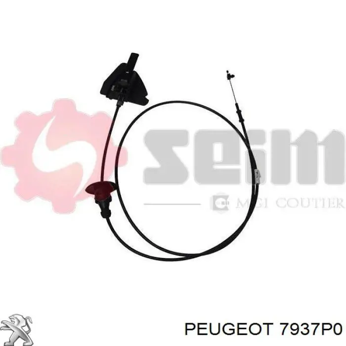 7937P0 Peugeot/Citroen cable de capó del motor