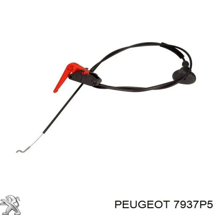 7937P5 Peugeot/Citroen cable de capó del motor