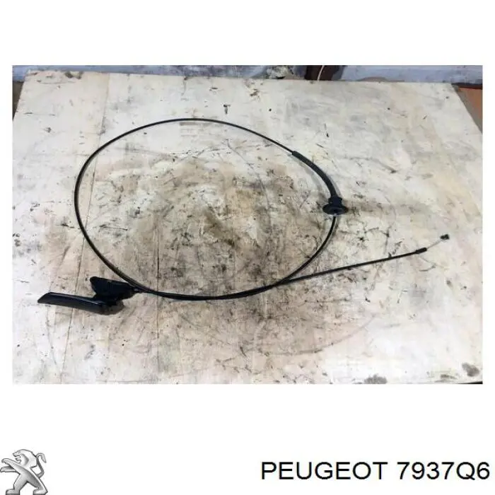Cable de apertura de capó del motor Peugeot/Citroen 7937Q6 precio, desde 13,60 EUR
