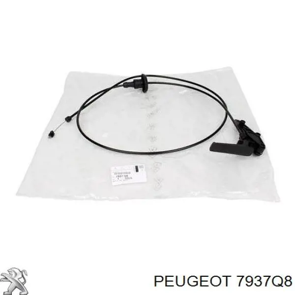Cable de capó Akkussan LCC3375