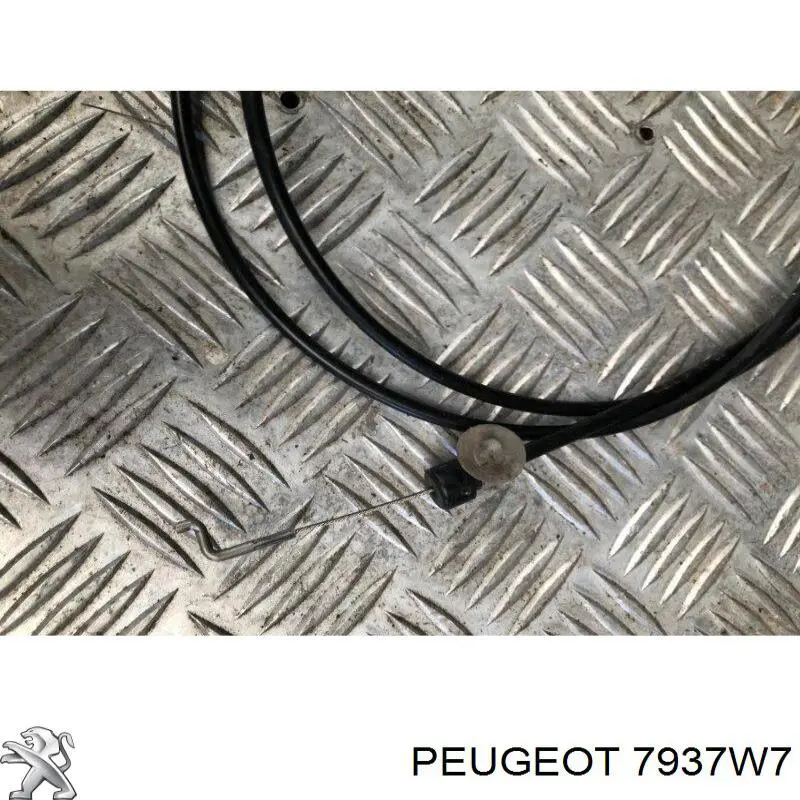 7937W7 Peugeot/Citroen cable de apertura de capó del motor