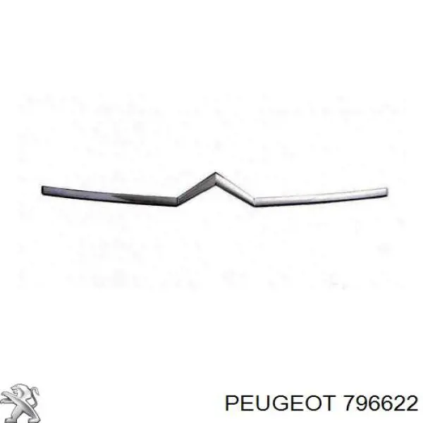 Moldura de la rejilla del radiador Peugeot/Citroen 796622 precio, desde 63,22 EUR