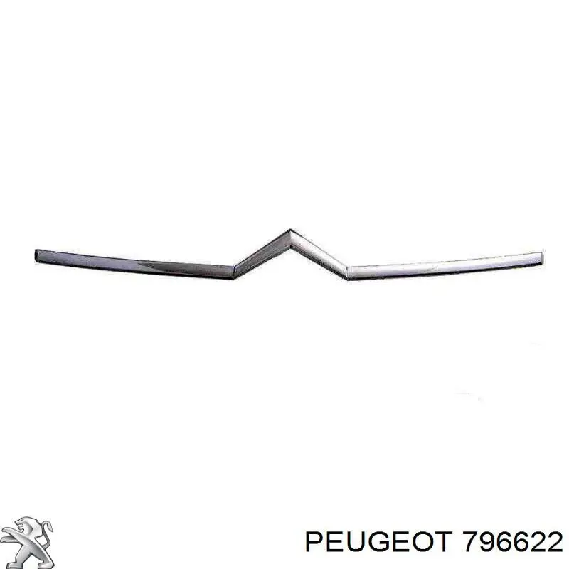 796622 Peugeot/Citroen Moldura de la rejilla del radiador