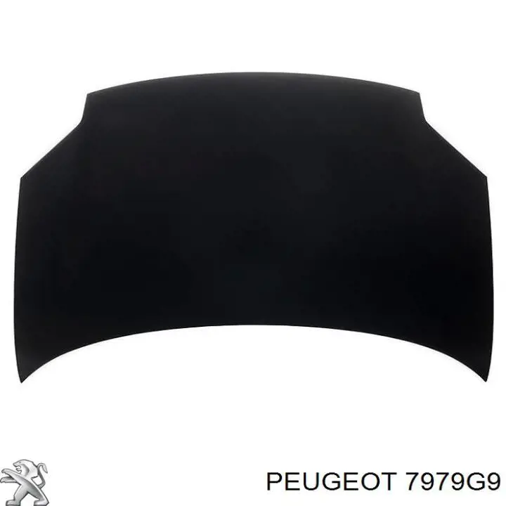 Comprar 7979G9 Peugeot/Citroen Rejilla del capó