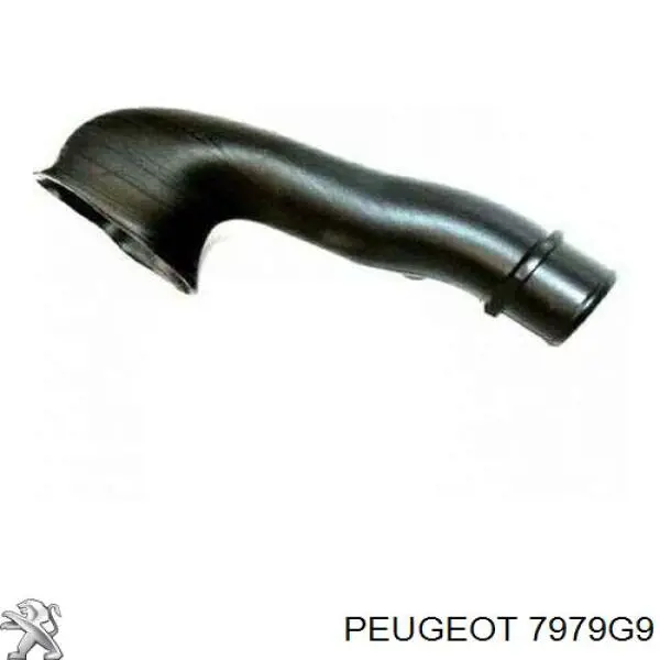 Rejilla del capó Peugeot/Citroen 7979G9 precio, desde 274,59 EUR
