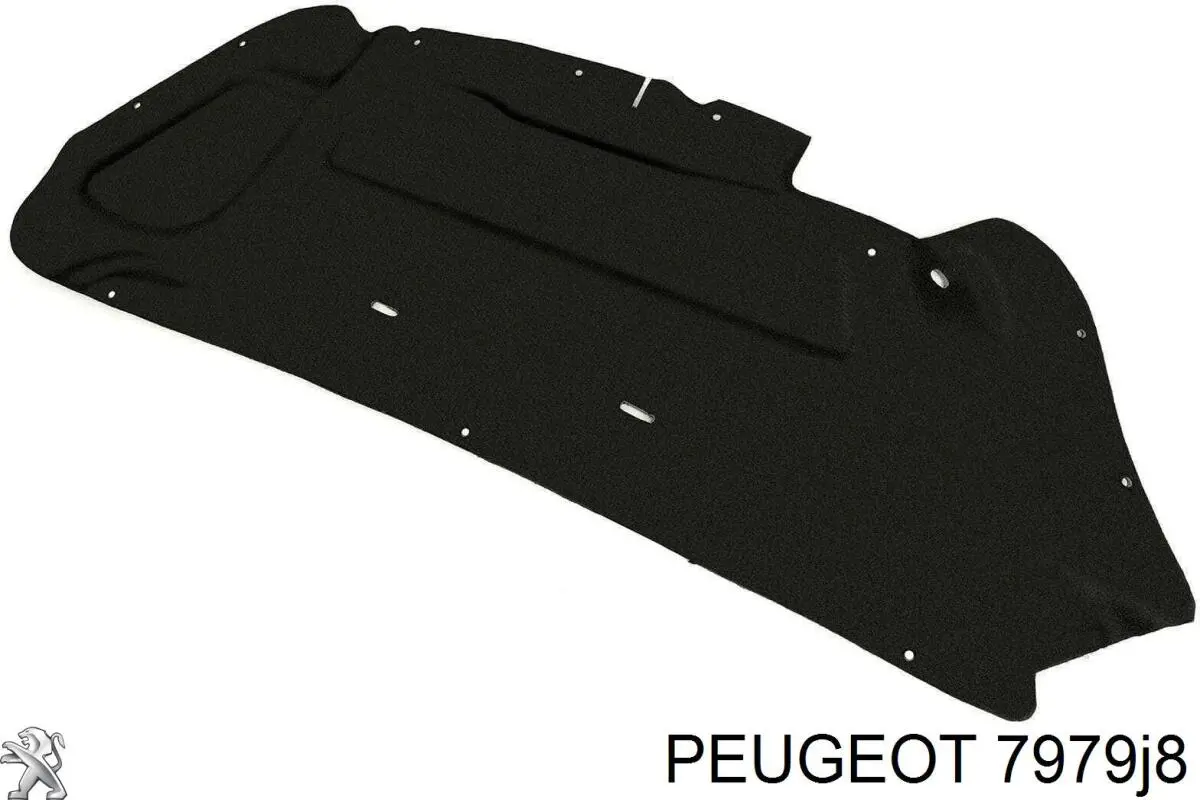 Aislamiento Para Campana Peugeot/Citroen 7979J8