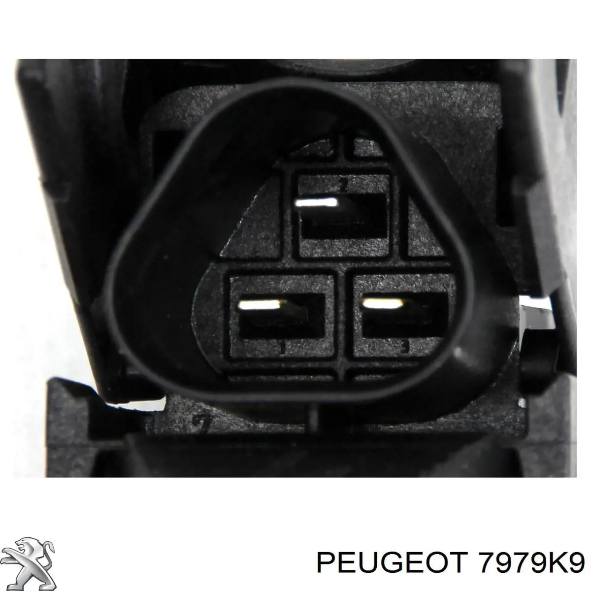 Aislamiento del Capó 7979K9 Peugeot/Citroen