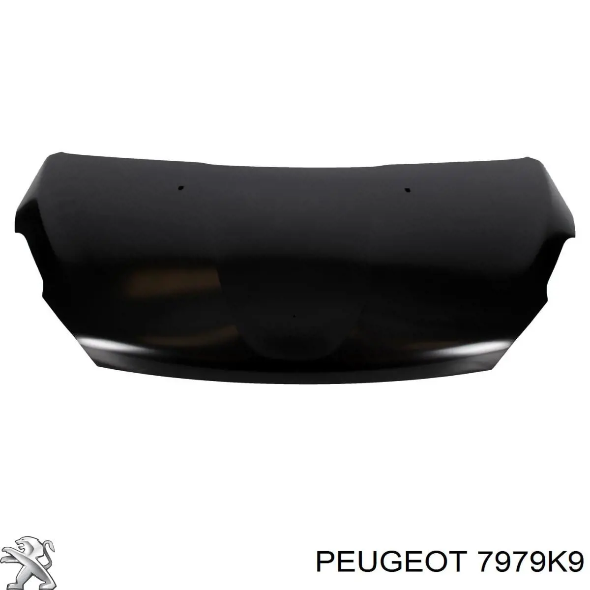 Comprar 7979K9 Peugeot/Citroen Aislamiento Para Campana