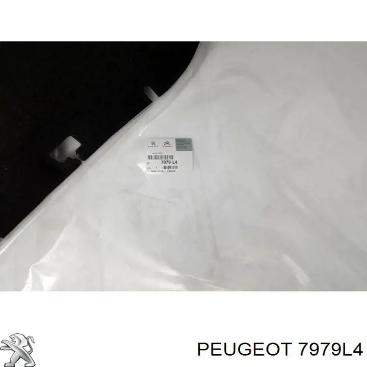 Insonorizante de motor Peugeot/Citroen 7979L4 precio, desde 35,79 EUR