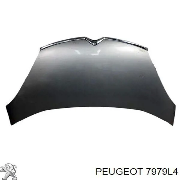 Comprar 7979L4 Peugeot/Citroen Aislamiento Para Campana