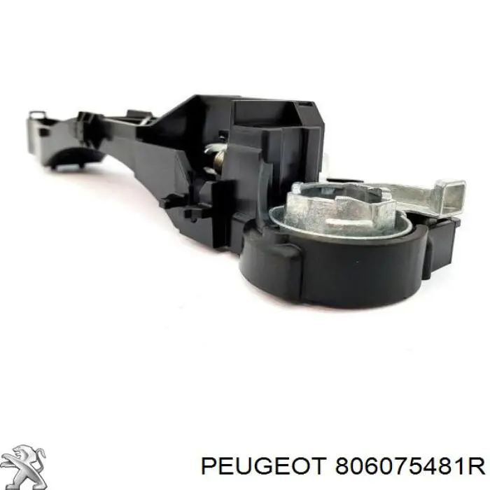 806075481R Peugeot/Citroen