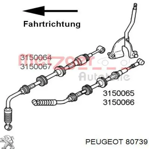 Retén delantero del árbol de levas Peugeot/Citroen 80737 precio, desde 6,49 EUR