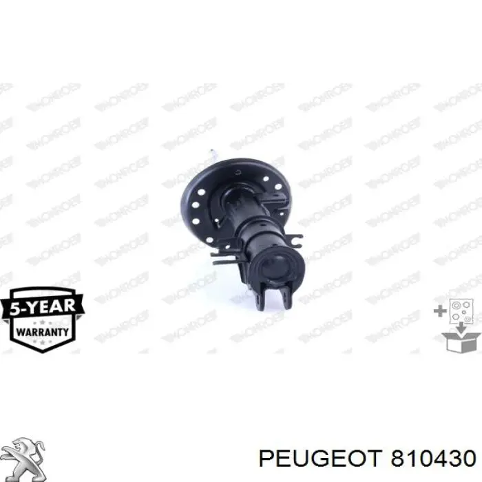810430 Peugeot/Citroen rejilla de limpiaparabrisas