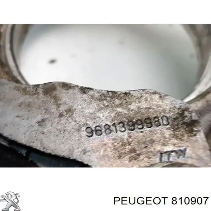 810907 Peugeot/Citroen 