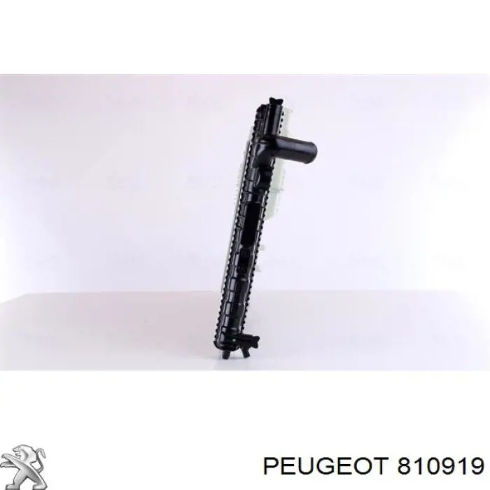 810919 Peugeot/Citroen 