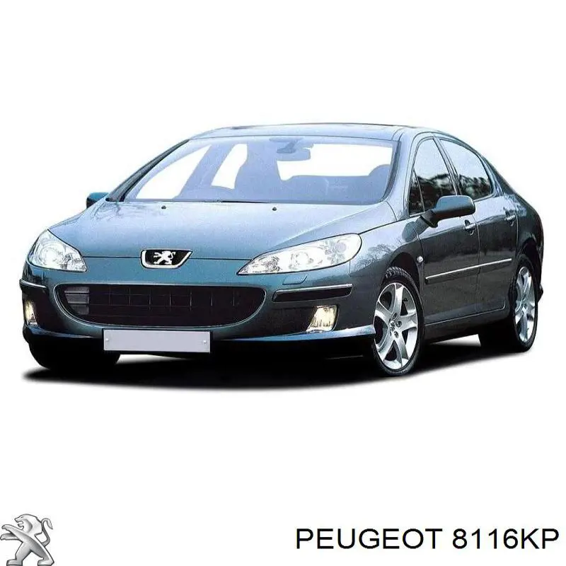 Parabrisas delantero Peugeot 407 6D