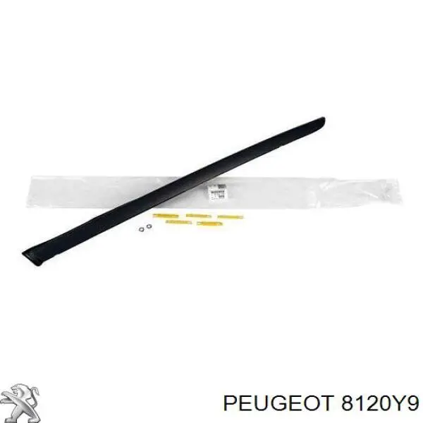 Moldura izquierda del parabrisas Peugeot/Citroen 8120Y9 precio, desde 249,33 EUR