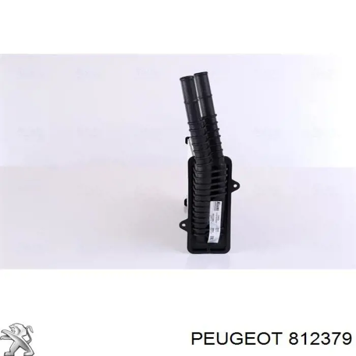 812379 Peugeot/Citroen 