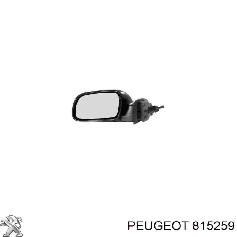 815259 Peugeot/Citroen cubierta de espejo retrovisor izquierdo