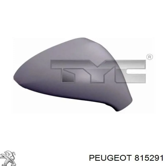 Cubierta del retrovisor del conductor para Peugeot 207 (WA, WC)