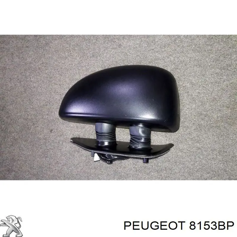 8153BP Peugeot/Citroen espejo retrovisor izquierdo