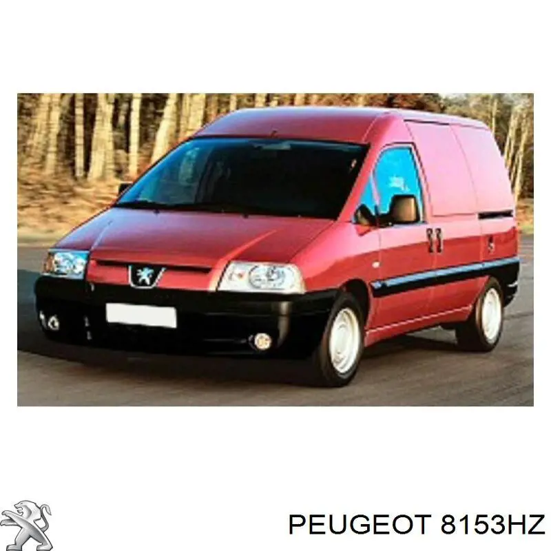 Espejo izquierdo Peugeot/Citroen 8153HZ precio, desde 76,89 EUR
