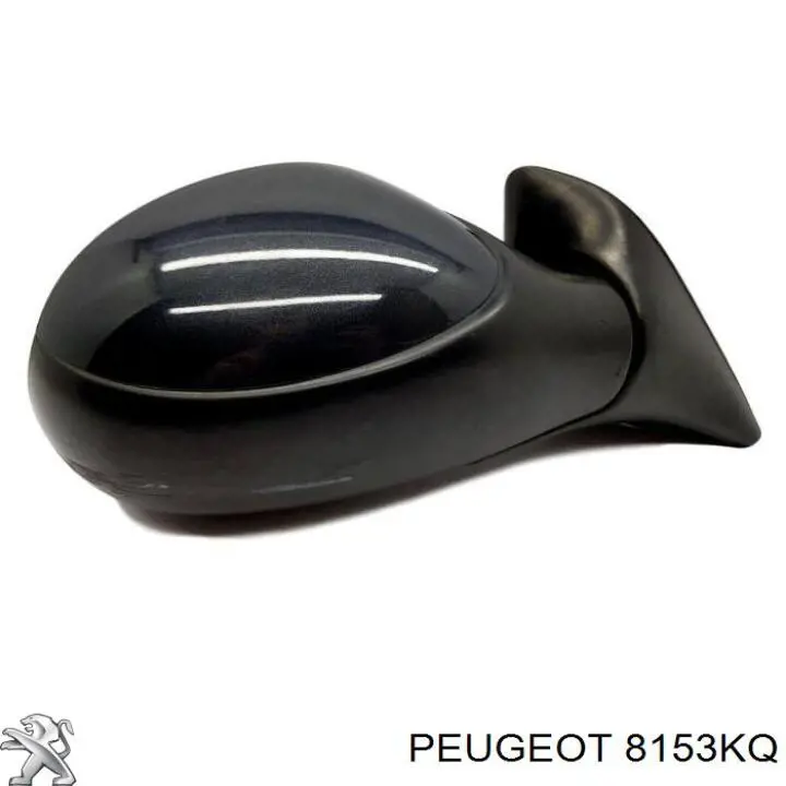 Espejo izquierdo SPJ E2255 precio, desde 33,40 EUR