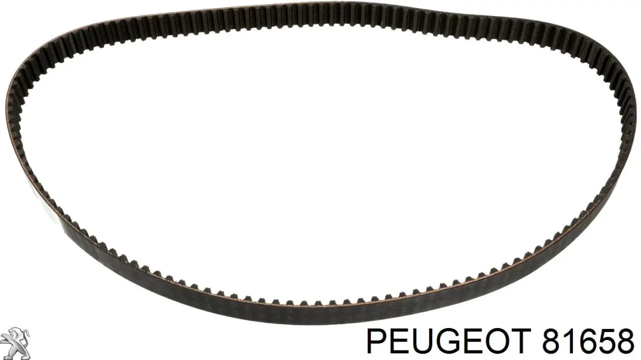 81658 Peugeot/Citroen correa distribucion