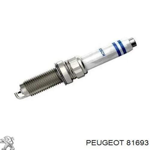 Comprar 81693 Peugeot/Citroen Correa distribución