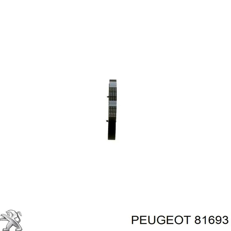 81693 Peugeot/Citroen correa distribucion