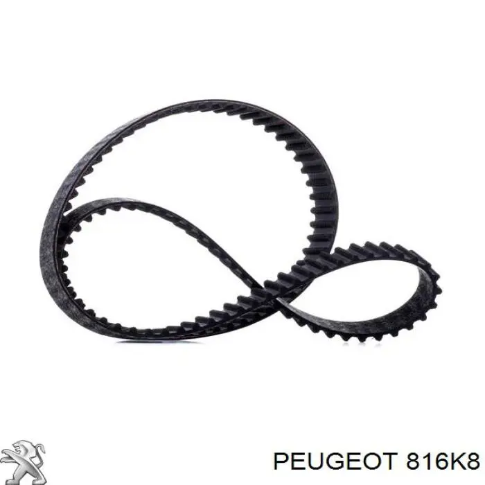 Comprar 816K8 Peugeot/Citroen Correa distribución