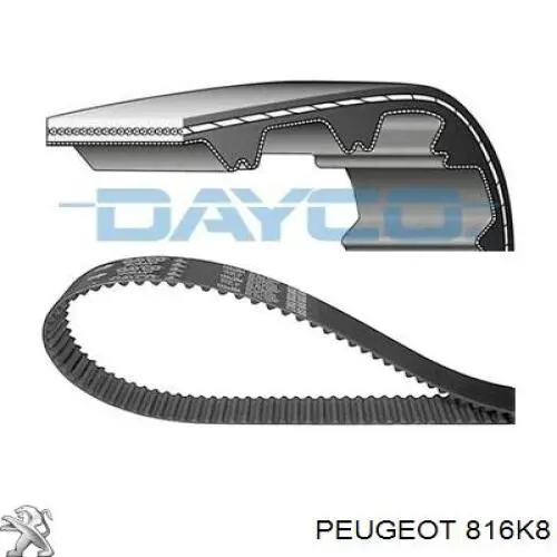 Correa de distribución Peugeot/Citroen 816K8 precio, desde 50,49 EUR