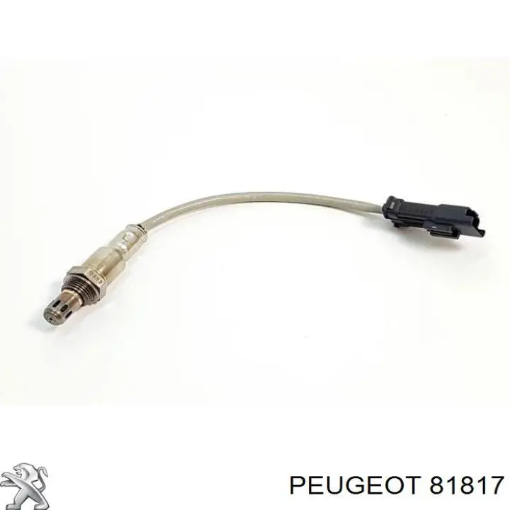 81817 Peugeot/Citroen Rodillo de cadena