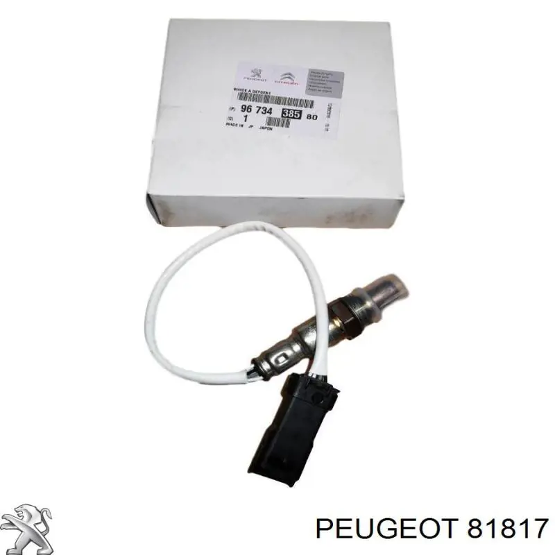 Comprar 81817 Peugeot/Citroen Tensor correa distribución