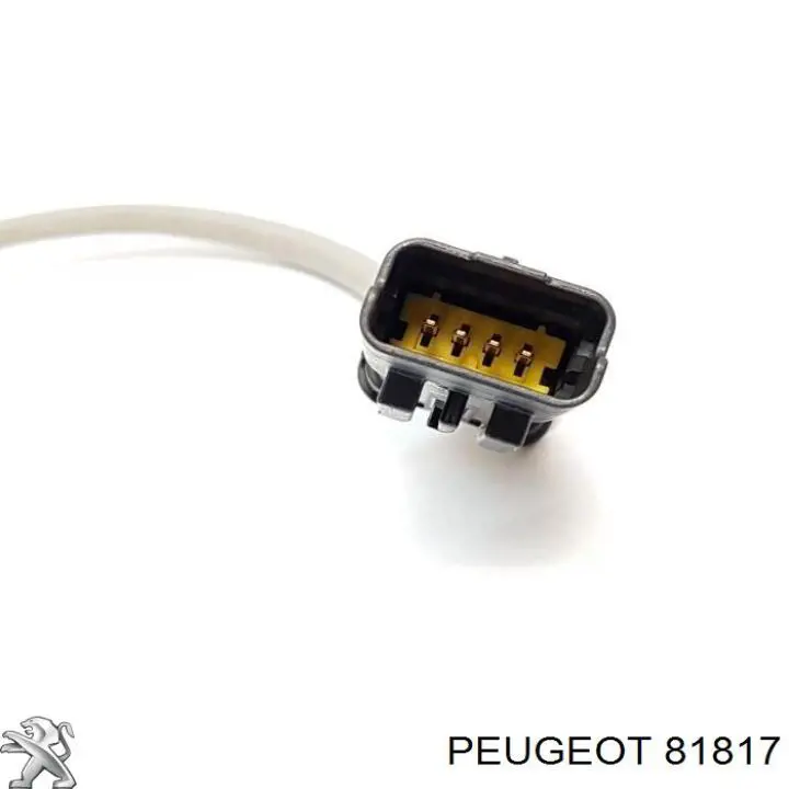 Tensor correa distribución 81817 Peugeot/Citroen