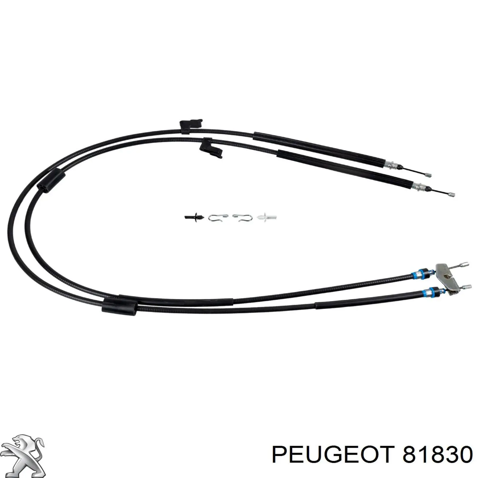 81830 Peugeot/Citroen zapata cadena de distribuicion