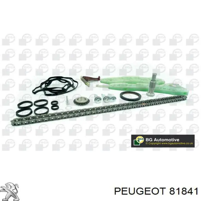 Tensor superior de cadena de distribución Peugeot/Citroen 81841 precio, desde 13,80 EUR