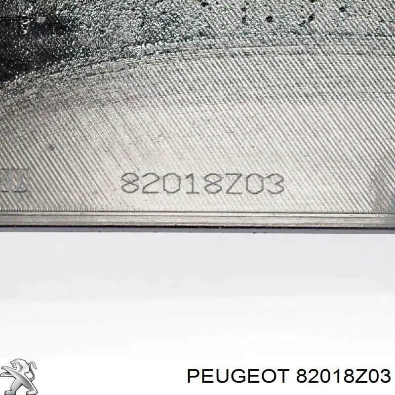 Moldura de umbral exterior izquierda 82018Z03 Peugeot/Citroen