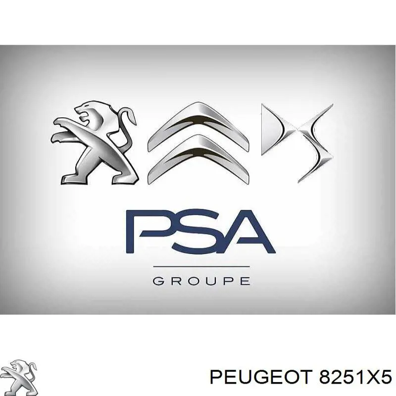 8251X5 Peugeot/Citroen vierteaguas