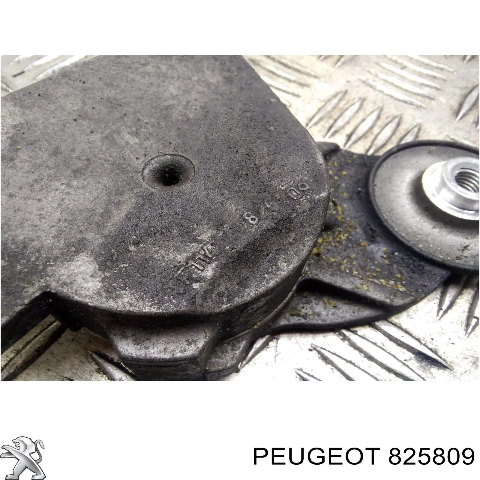  Peugeot/Citroen 825809 precio, desde 40,66 EUR