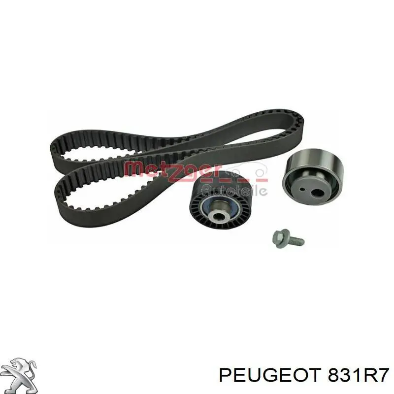 831R7 Peugeot/Citroen kit de correa de distribución