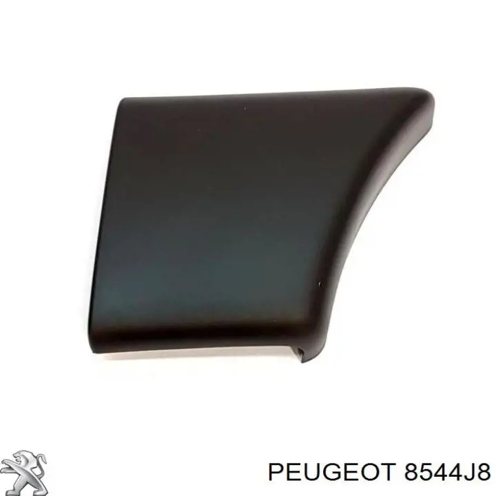 Moldura de guardabarros delantero derecho Peugeot/Citroen 8544J8 precio, desde 13,10 EUR